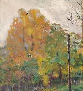 Bernhard Folkestad, Deciduous trees in fall suit with cuts